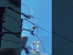 高品質のシューズカット 40.5kVポリマーまたはセラミックドロップアウトシューズカット